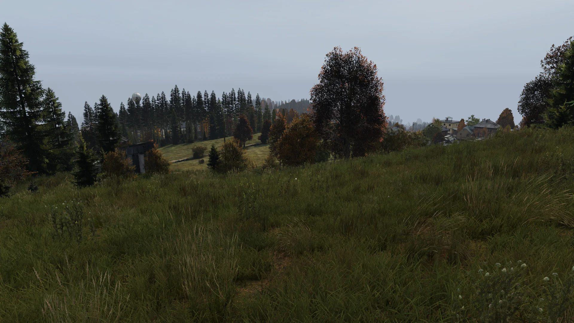 Location for Round 2
