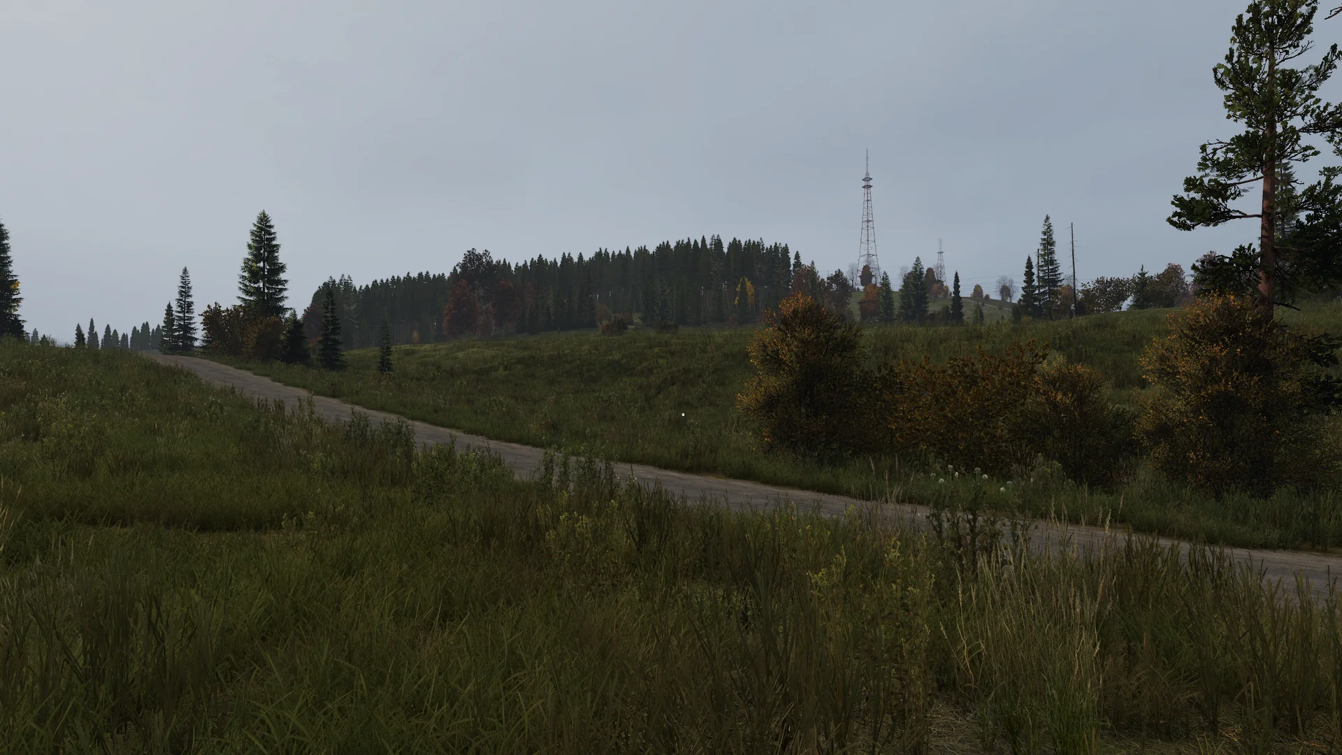 Location for Round 2