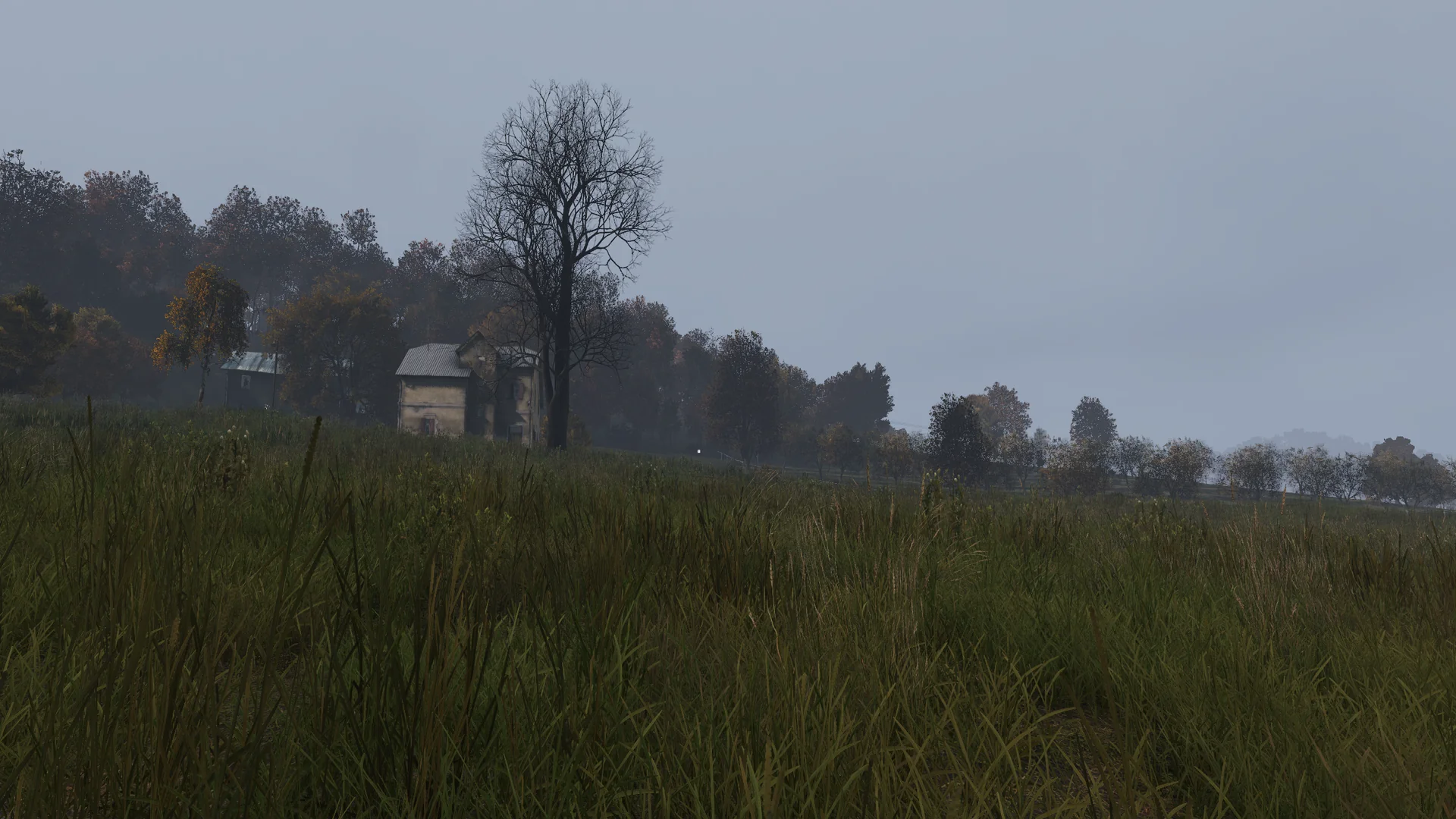 Location for Round 2