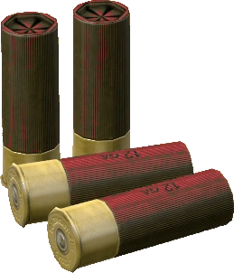 12ga 00 Buckshots