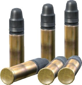 .22 LR Rounds