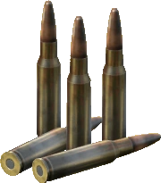 .308 WIN Rounds
