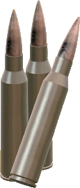 .338 Lapua Magnum Rounds