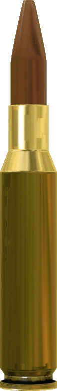 .50 BMG Round