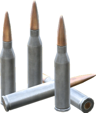 5.45x39mm Rounds