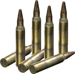 5.56x45mm Rounds