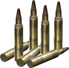 5.56x45mm Tracer Rounds