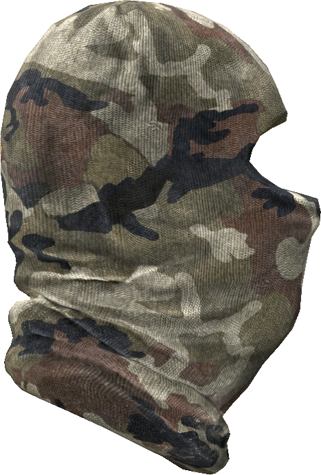 Ski Mask