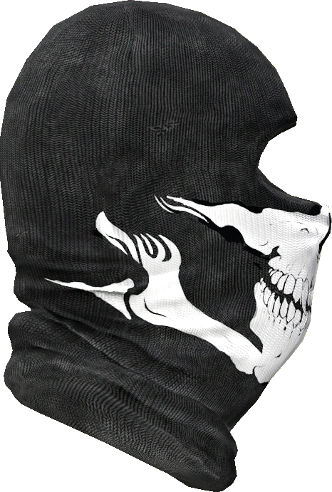 Ski Mask