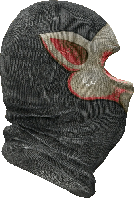 Ski Mask