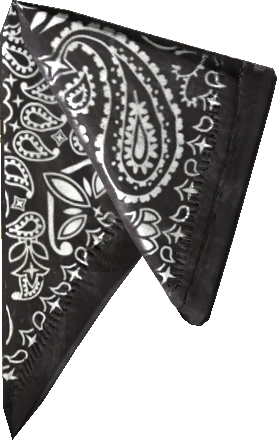 Bandana