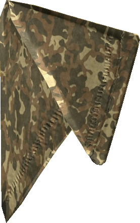 Bandana