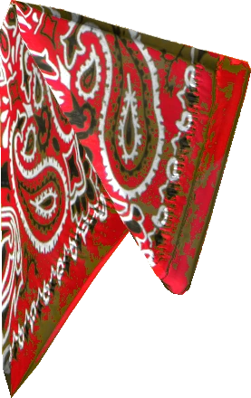 Bandana