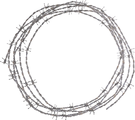 Barbed Wire