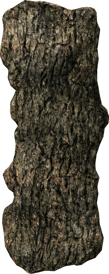 Dark Bark