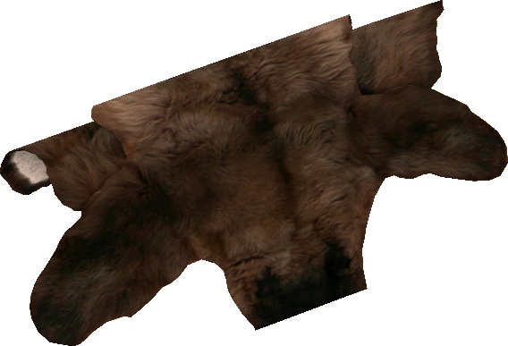 Bear Pelt
