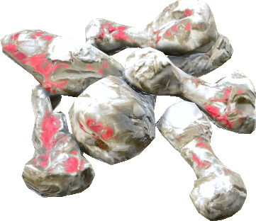 Bones