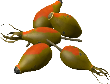 Rose Hips