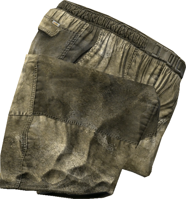 Hiking Pants