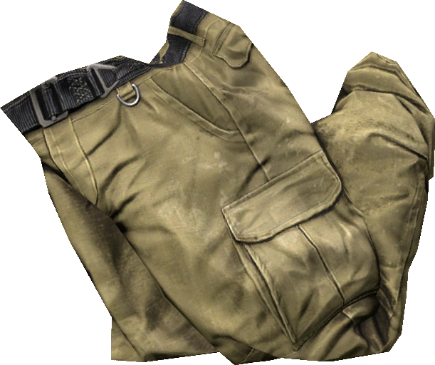 Cargo Pants