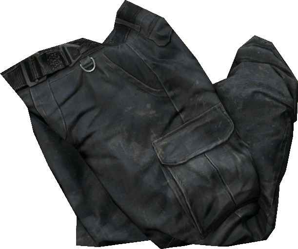Cargo Pants