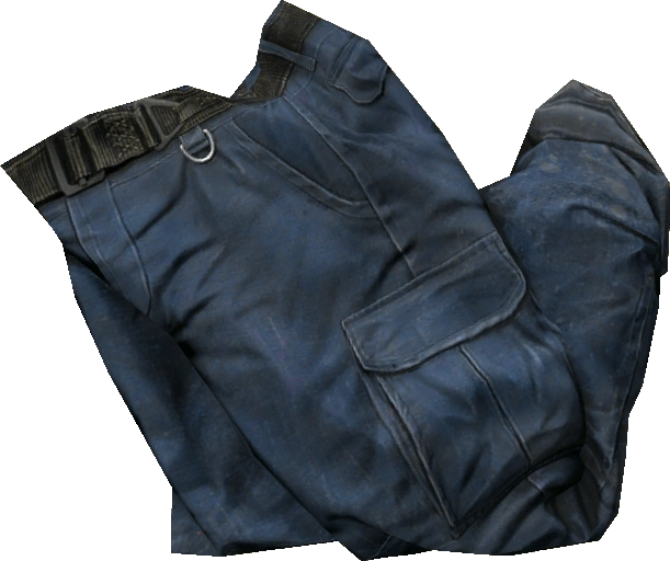Cargo Pants