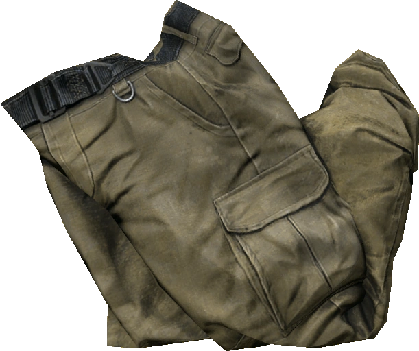 Cargo Pants