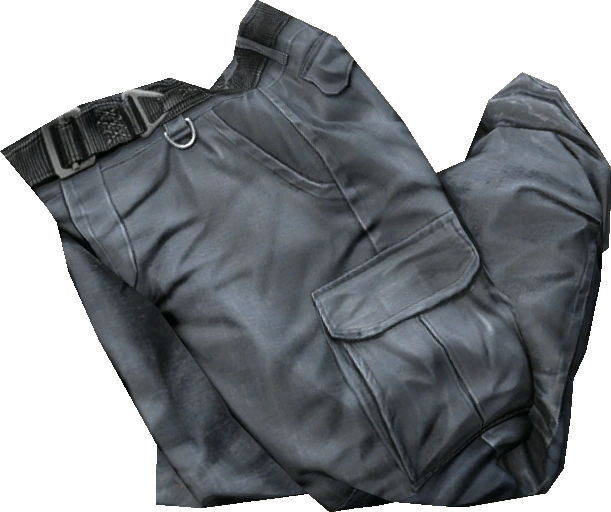 Cargo Pants