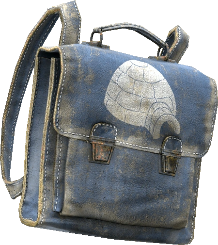 School Backpack