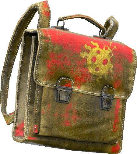 School Backpack