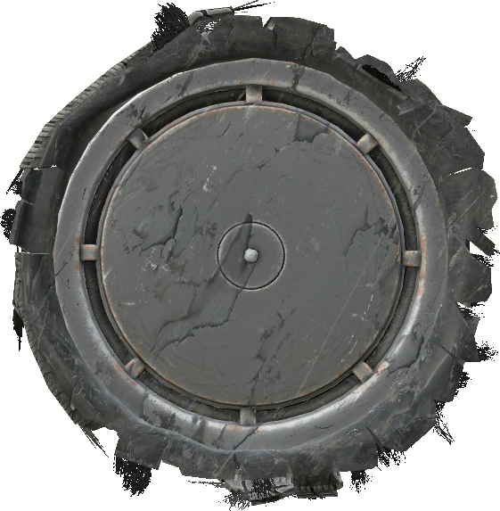 Olga 24 Wheel