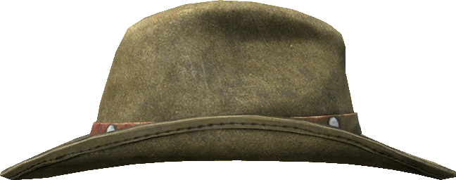 Cowboy Hat