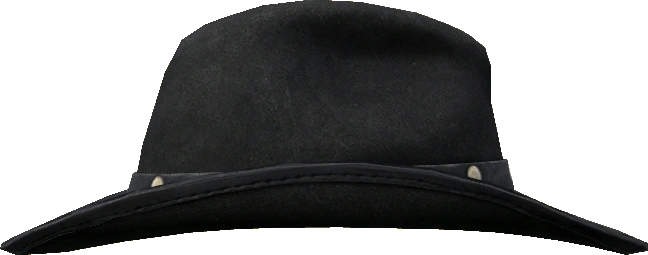 Cowboy Hat