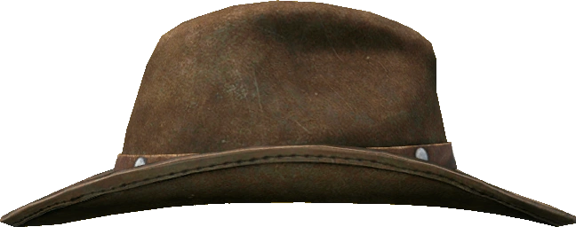 Cowboy Hat