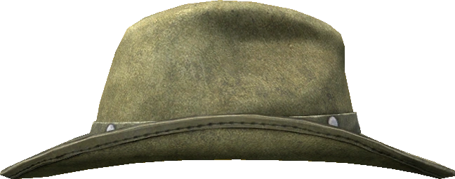 Cowboy Hat