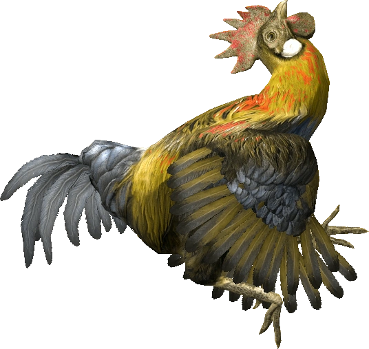 Rooster