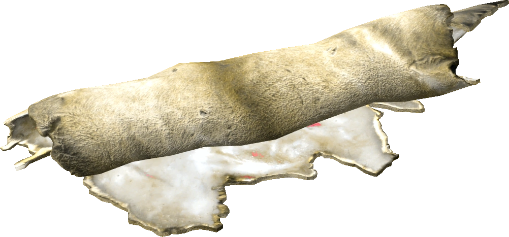 Deer Pelt