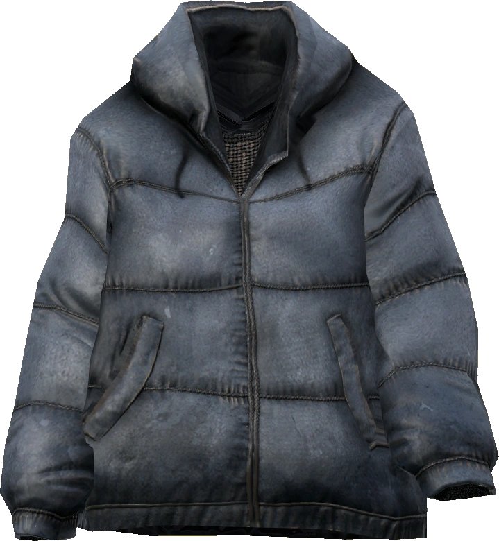 Down Jacket