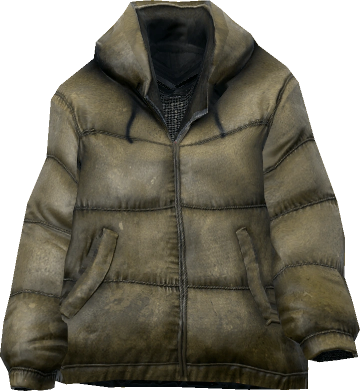 Down Jacket
