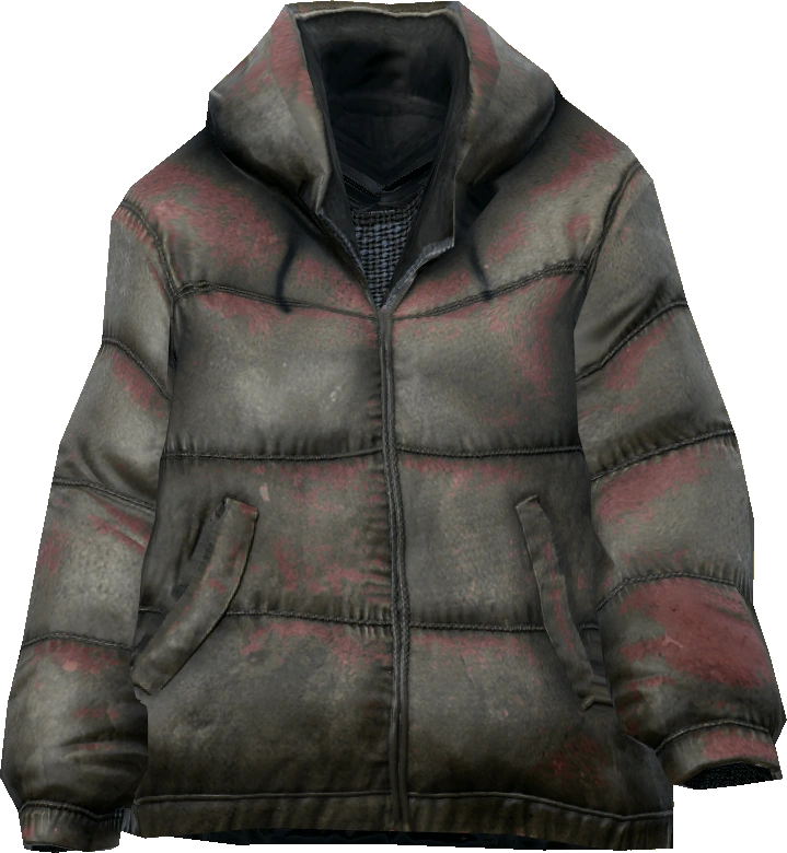 Down Jacket