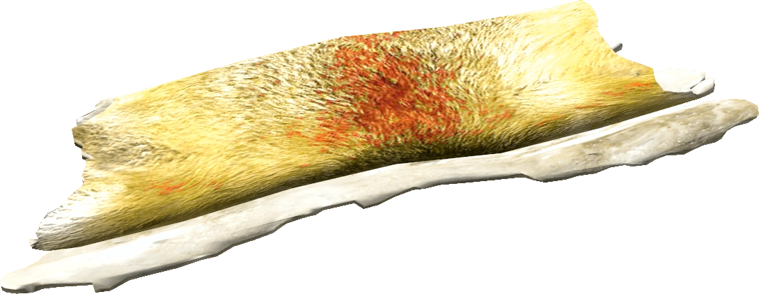 Fox Pelt