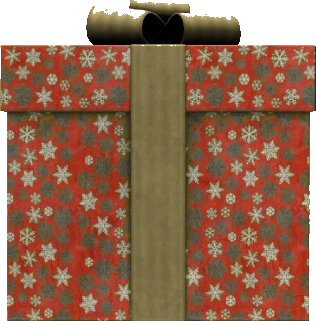 Large Gift Box