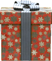 Small Gift Box