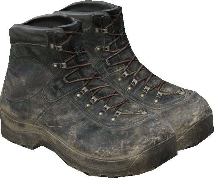 Hiking Boots