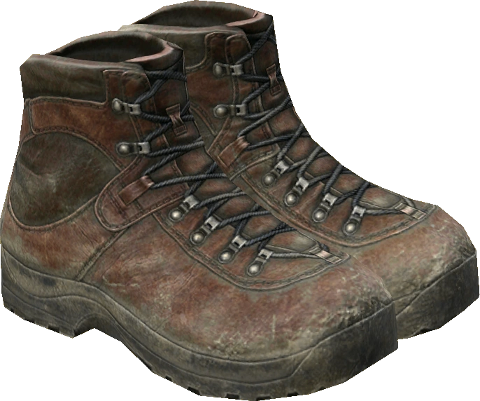 Hiking Boots