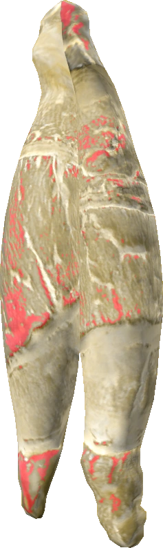 Human Steak