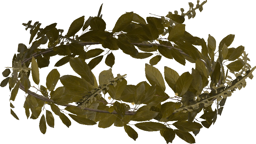 Leaf Crown
