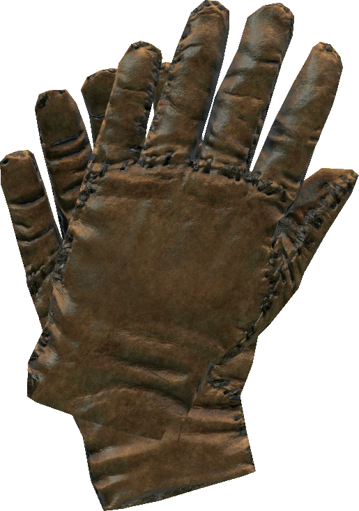 Leather Gloves
