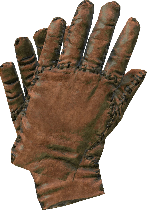 Leather Gloves