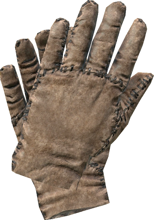 Leather Gloves